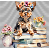 Animal Integration-DW 294